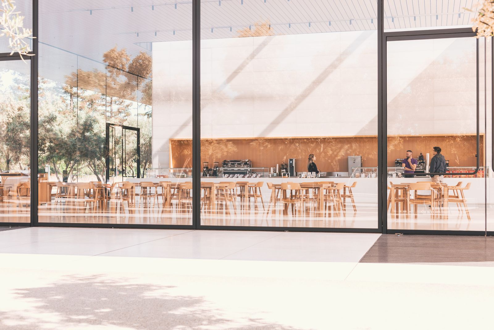 Light-filled cafe interior with tables and seating